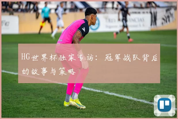 HG世界杯独家专访:冠军战队背后的故事与策略