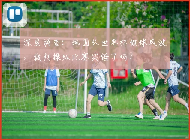 深度调查：韩国队世界杯假球风波，裁判操纵比赛实锤了吗？