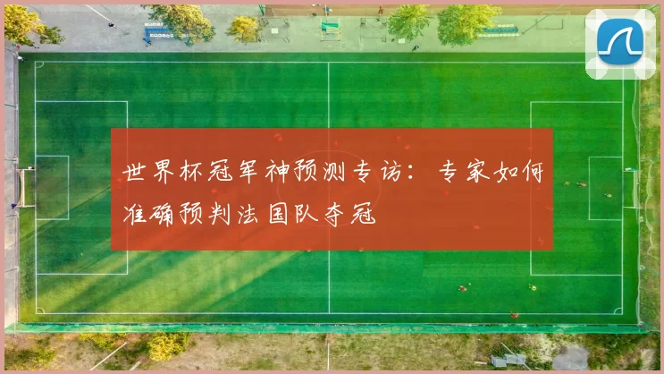 世界杯冠军神预测专访：专家如何准确预判法国队夺冠