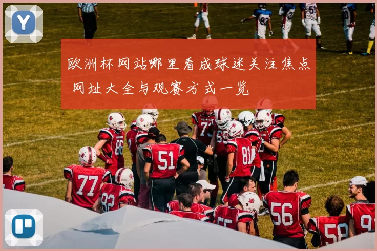欧洲杯网站哪里看成球迷关注焦点 网址大全与观赛方式一览